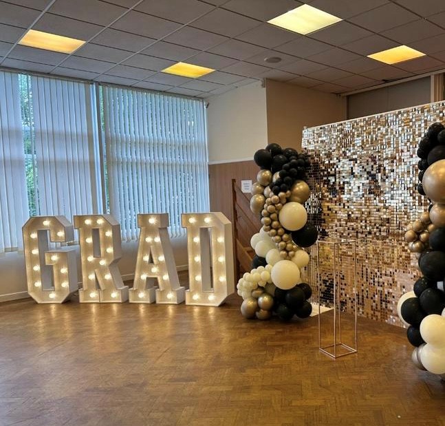 Grad shimmer Sequin Walls & Backdrops